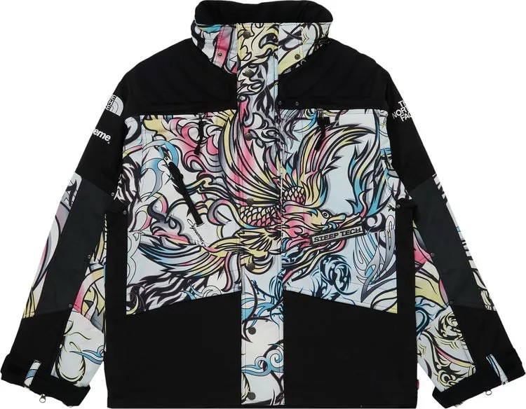 Куртка Supreme x The North Face Steep Tech Apogee Jacket 'Multicolor Dragon', разноцветный