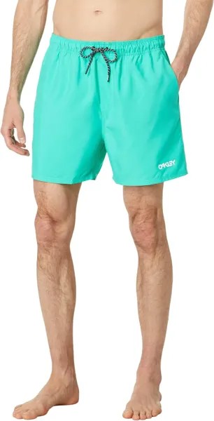 Пляжные шорты Oakley Beach Volley 16