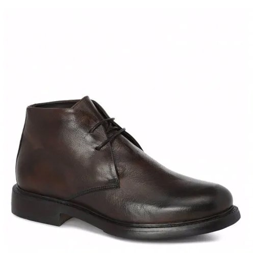 Ботинки Ernesto Dolani, размер 40.5, коричневый, серый