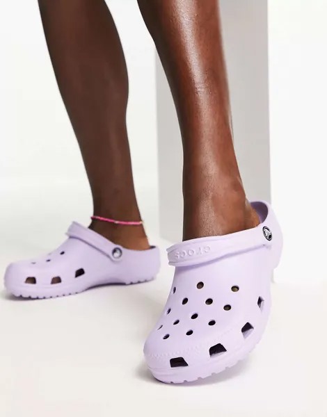 Классические сабо Crocs сиреневого цвета