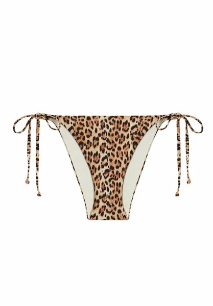 Низ бикини Essentials Yamamay, разноцветный анималистический принт