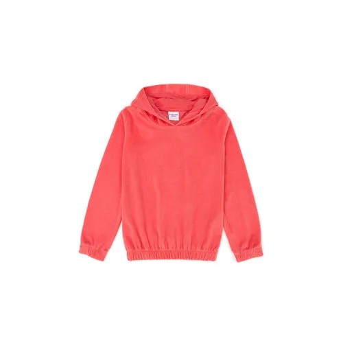 Толстовка U.S. POLO ASSN., размер 12-13, розовый