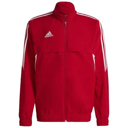 Олимпийка Adidas CON22 PRE JKT Мужчины HA6238 XL