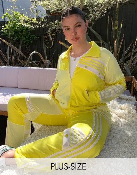 Желтая олимпийка adidas Originals Plus x Danielle Cathari Plus-Желтый