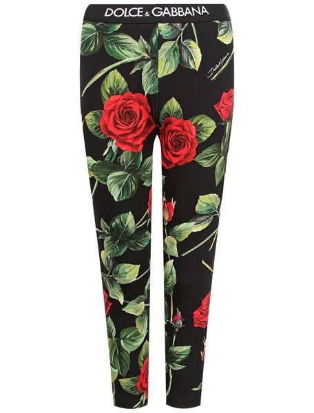 Леггинсы Dolce & Gabbana