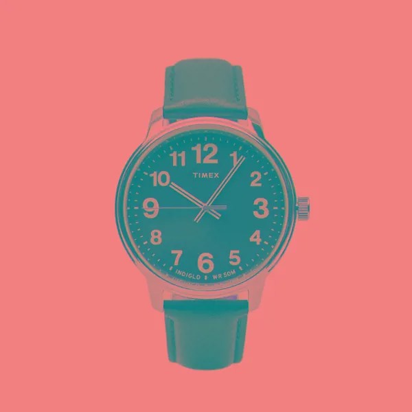 Наручные часы Timex Easy Reader Bold