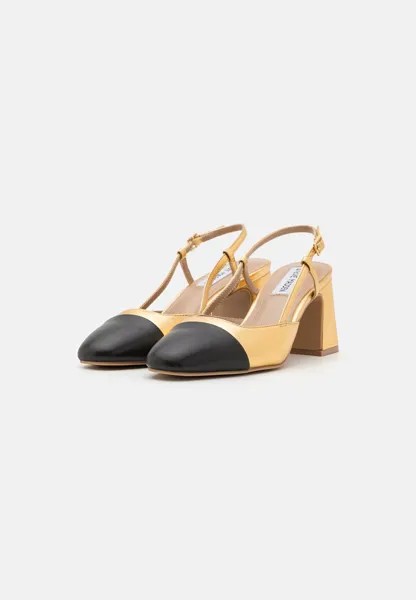 Туфли ZEINA Steve Madden, золото