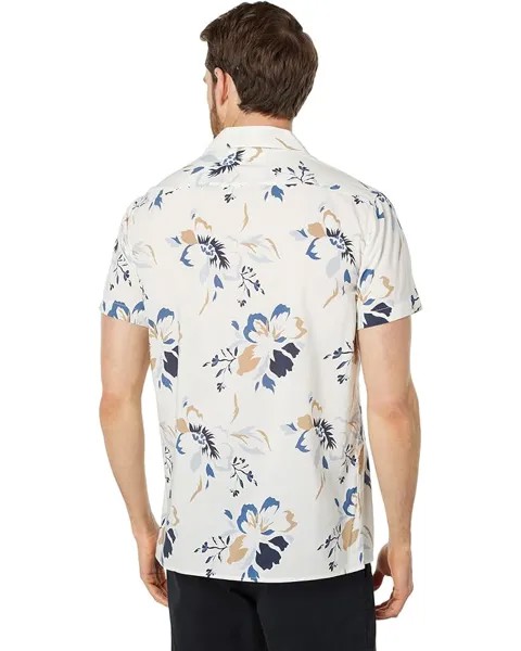 Рубашка Selected Homme Viggo Short Sleeve All Over Print Shirt, цвет Egret Big Flower