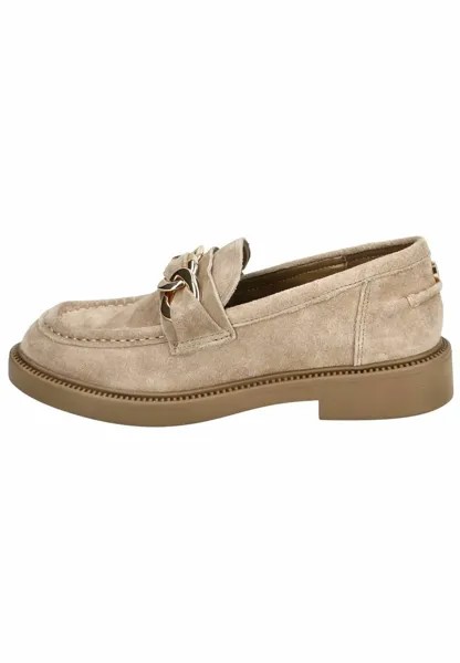 Тапочки Steve Madden, цвет tan suede