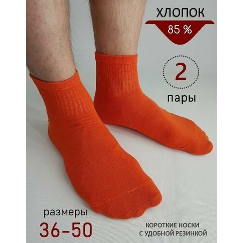 Носки BIZ-ONE, комплект, 2 пары, размер 42-43, оранжевый