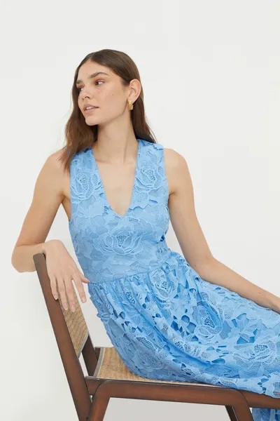 Кружевное платье миди с V-образным вырезом Dorothy Perkins, синий