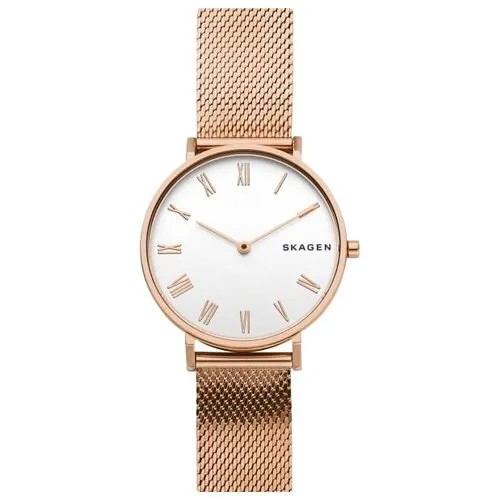 Наручные часы SKAGEN SKW2714