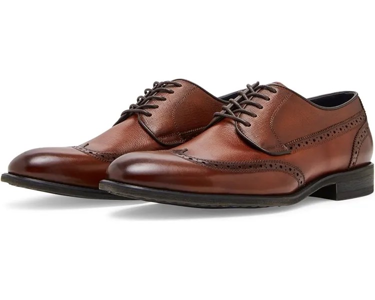 Оксфорды Steve Madden Aamari, оранжевый