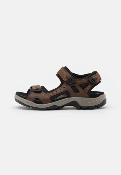 Трекинговые сандалии OFFROAD ECCO, цвет espresso/cocoa brown/black