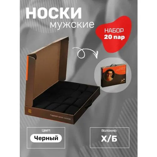 Носки Годовой запас носков, комплект, 20 пар, размер 29 (44-45), черный