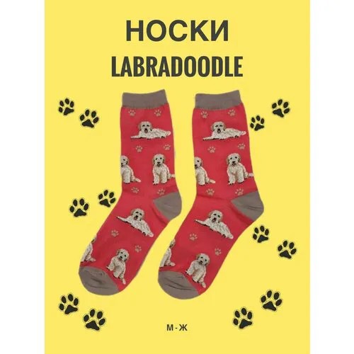 Носки SockDaddy ЛАБРАДУДЛЬ 2, размер 36/43, бежевый, красный