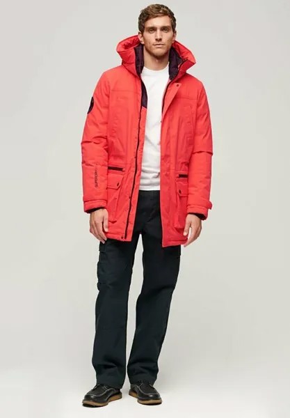 Зимнее пальто CITY PADDED Superdry, цвет sunset red