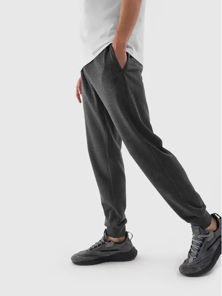 Спортивные брюки стандартного кроя 4F, серый