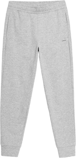 Спортивные брюки мужские Outhorn HOL22-SPMD600 серые L