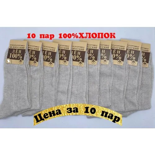 Мужские носки Белорусские, 10 пар, размер 25(39-40), бежевый