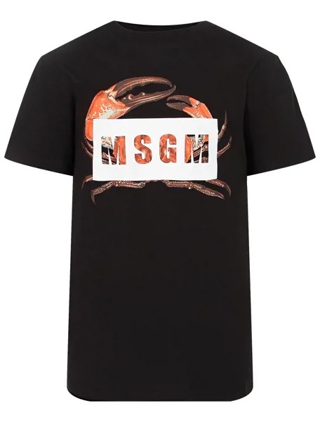 Футболка MSGM