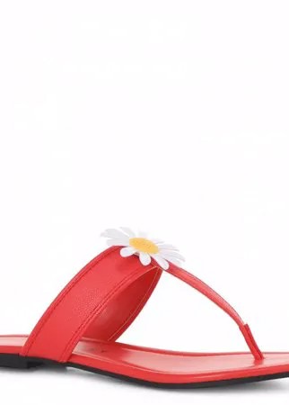 Женские сланцы KATY PERRY FORGET ME NOT цв. красный 36 EU