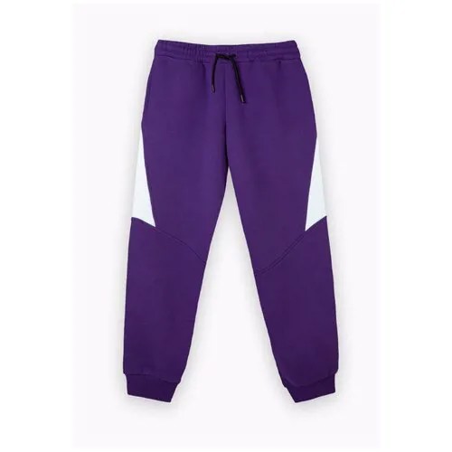 Фиолетовые спортивные брюки Jogger с контрастными вставками для мальчика Gloria Jeans