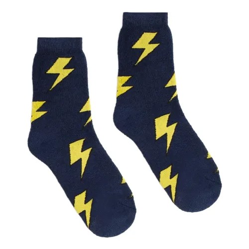 Мужские носки СИБИРЬ, 1 пара, классические, махровые, размер 25, синий