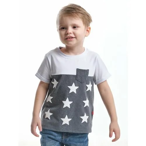 Футболка Mini Maxi, размер 110, серый