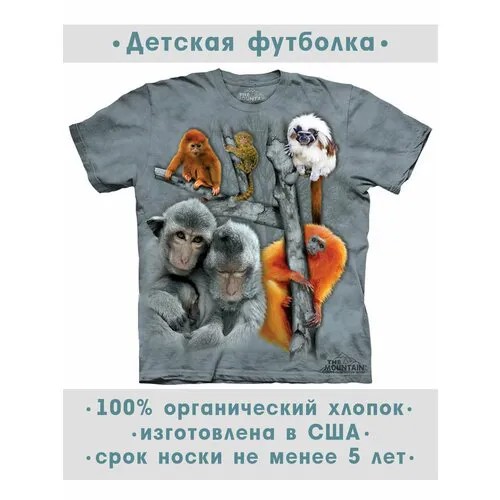 Футболка The Mountain, размер M-Y, серый