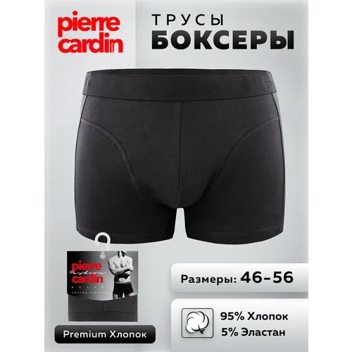 Трусы Pierre Cardin, размер 5/L (48-50), серый