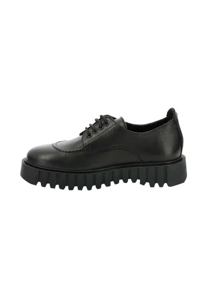 Спортивные туфли на шнуровке KICK FAMOUS Kickers, цвет noir