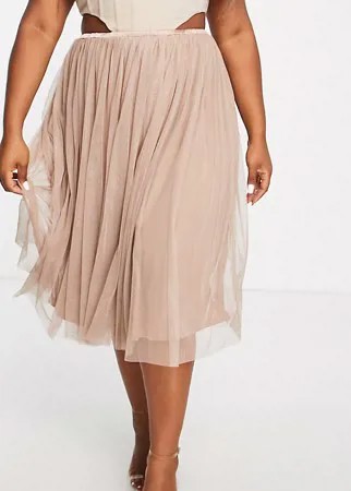 Серо-коричневая юбка миди из тюля Lace & Beads Plus-Светло-бежевый цвет