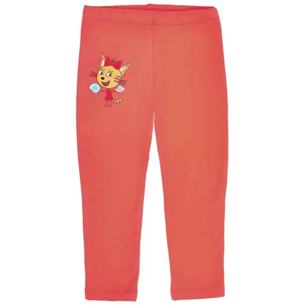 Frutto Rosso Леггинсы для девочки Три кота TKG187
