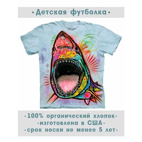 Футболка The Mountain, размер S-Y, голубой