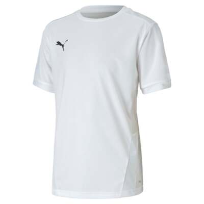 Футболка Puma Teamgoal с круглым вырезом и короткими рукавами для мальчиков, юношеская, белая 70416014
