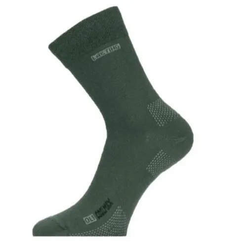 Носки Lasting, размер L, серый, зеленый
