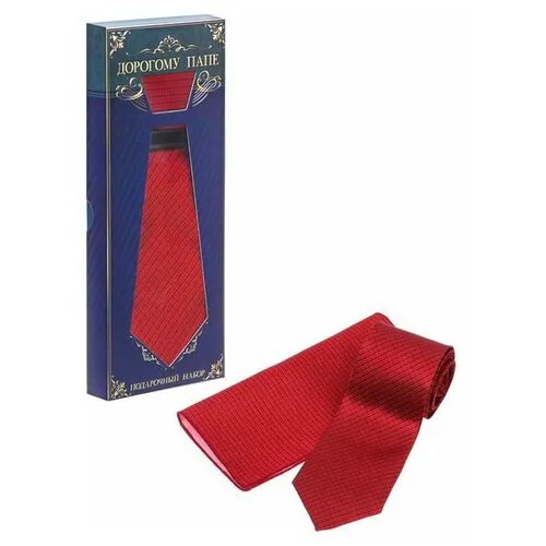 Подарочный набор: галстук и платок 