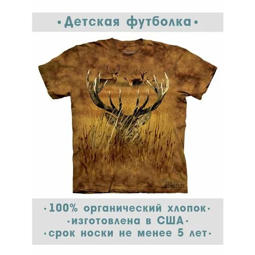 Футболка The Mountain, размер M-Y, коричневый