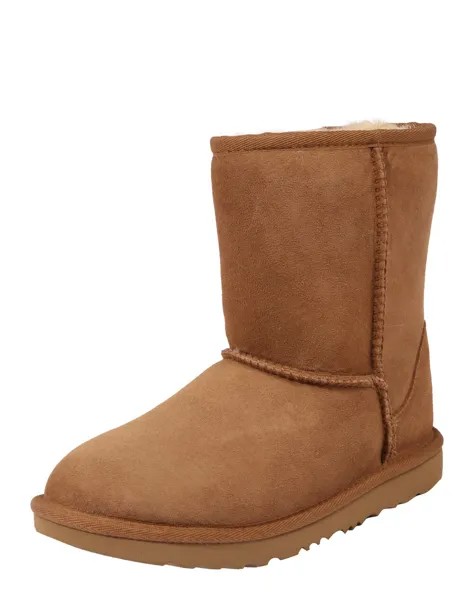 Зимние сапоги UGG, коньяк