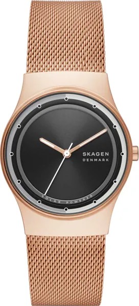 Наручные часы женские Skagen SKW3023 золотистые