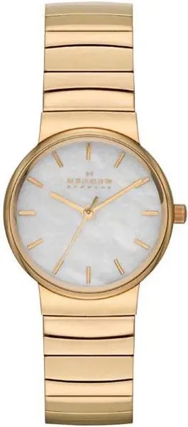 Наручные часы  женские Skagen SKW2199