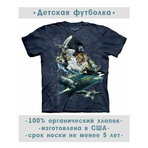 Футболка The Mountain, размер S-Y, серый