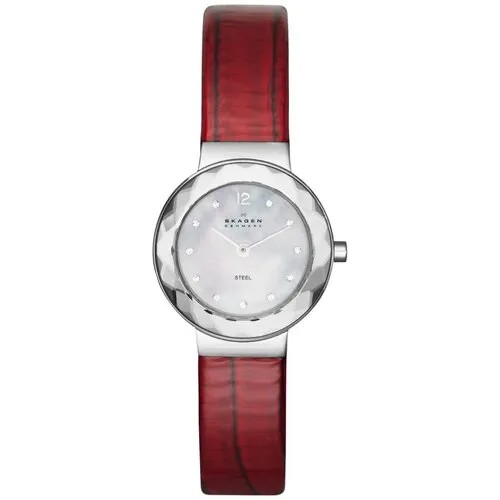 Наручные часы Skagen SKW2109