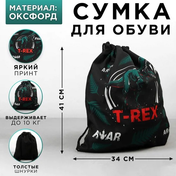 Сумка для обуви t-rex, оксфорд, размер 41х31 см