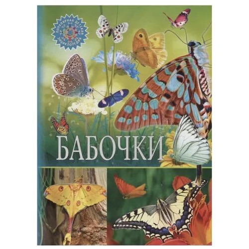 Бабочки