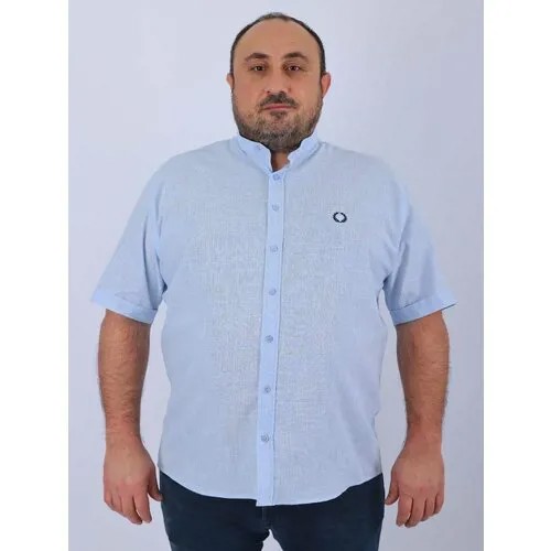 Рубашка Castelli, размер 6XL(68), голубой