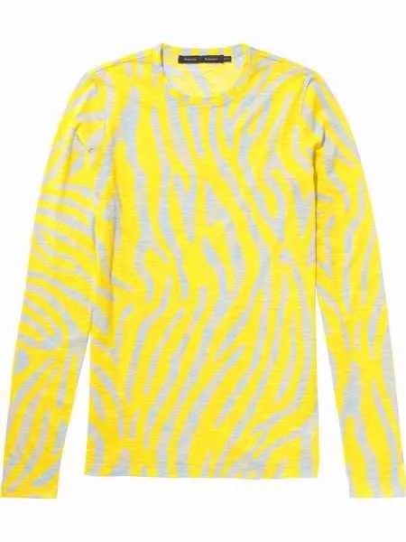 Proenza Schouler Abstract Stripe Long Sleeve T-Shirt