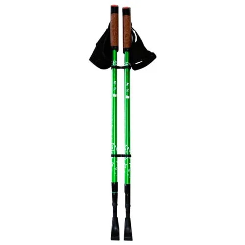 Палки для скандинавской ходьбы 2 шт. GESS Телескопические Classic Walker зеленый