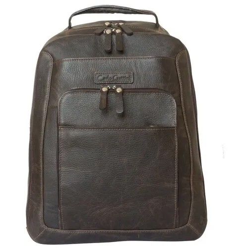 Мужской кожаный рюкзак Carlo Gattini Monfestino brown 3034-04
